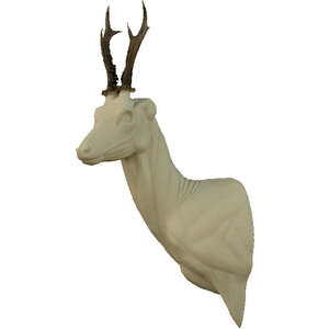 Roe deer (Capreolus capreolus)