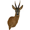 Ree (Capreolus capreolus)