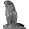 Alpine marmot (Marmotta marmotta)