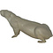 Alpine marmot (Marmotta marmotta)