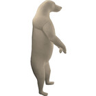 Braunbär (Art. FI-G-B9-G)