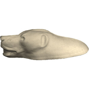 Schwarzbär (Ursus americanus)