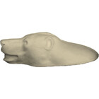 Schwarzbär - Vorleger (Art. V-B2)