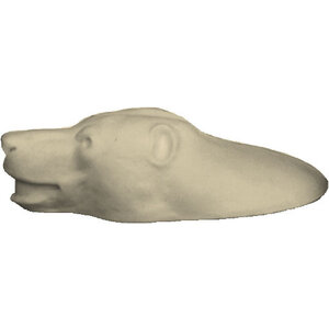 Schwarzbär (Ursus americanus)