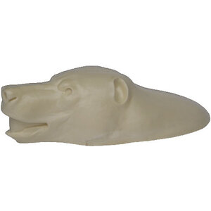 Schwarzbär (Ursus americanus)