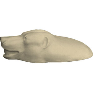 Braunbär (Ursus arctos)