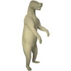 Schwarzbär (Art. G-B5-R-x)