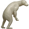 Brown bear (Ursus arctos)