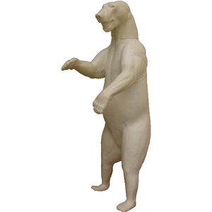 Eisbär (Ursus maritimus)