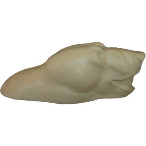 Polar bear (Ursus maritimus)