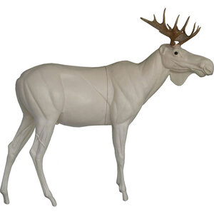 Moose (Alces alces)