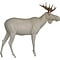 Eland (Alces alces)