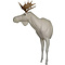 Moose (Alces alces)