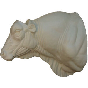 Cattle (Bos primigenius taurus)