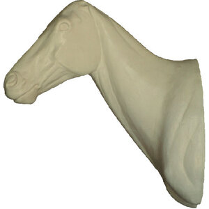 Paard (Equus ferus caballus)