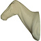 Paard (Equus ferus caballus)