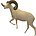 Argali (Art. SO-G-ARG3-L)