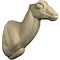 Marco Polo schaap (Ovis ammon polii)