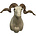 Sheep (Art. H-S1-G)
