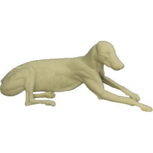 Wolf (Canis lupus)