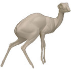 Dikdik (Art. SO-G-AF-DD4-R)