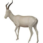Blesbok (Art. SO-G-AF-BL5-L)