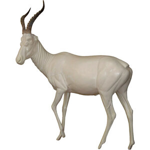 Blesbok (Damaliscus pygargus)