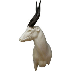 Buschbock (Tragelaphus scriptus)