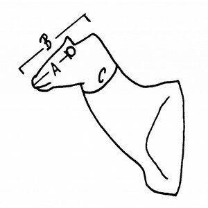 Algazel (Oryx dammah)