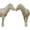 Hartmann's Bergzebra (Equus zebra hartmannae)
