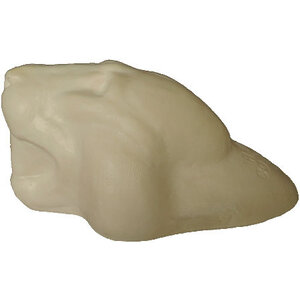 Luipaard (Panthera pardus)