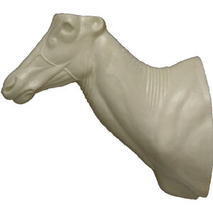 Leierantilope (Damaliscus lunatus)