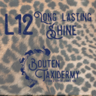 L12 Reinigingsversterker