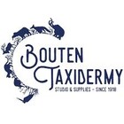 Bouten Taxidermy