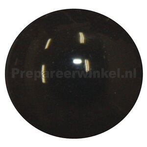 Blue headed parrot (Pionus menstruus)