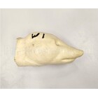 Waschbär - Wickelkopf