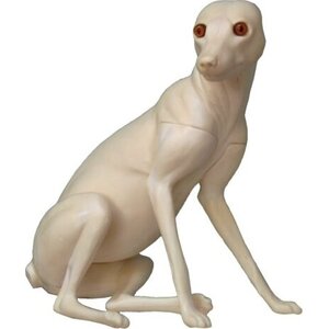 Vos (Vulpes vulpes)