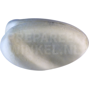 Buizerd (Buteo buteo)