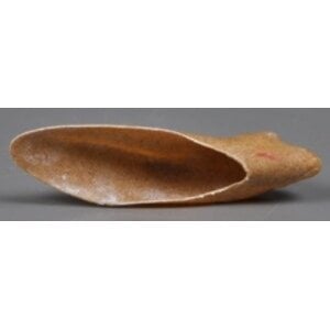 Alpensteenbok - oorversterkers