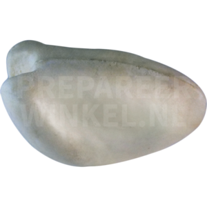 Roodpootvalk (Falco vespertinus)