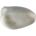 Gestreepte ransuil