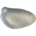 Pruimkopmargrietje