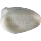 Blauwbaardamazone