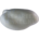 Kroonarend
