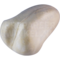 Sperweruil (Surnia ulula)