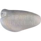 Geelbuikamazone