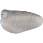 Königsbussard
