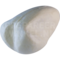 Slechtvalk (Falco peregrinus)