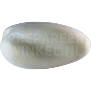 Groenpootruiter (Tringa nebularia)