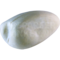Groenpootruiter (Tringa nebularia)
